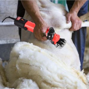 Tondeuse &eacute;lectrique pour moutons, 690 W, portable, 6 vitesses, pour moutons, ch&egrave;vres, lamas, chevaux, alpagas, poils &eacute;pais et fourrure, tondeuse pour