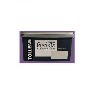 Tollens - Peinture acrylique multi-usages 'Couleur Plurielle' satin Envoûtante 2,5 l