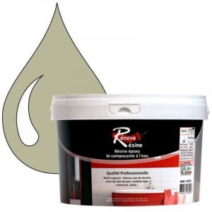Peinture R&eacute;sine - R&eacute;nove R&eacute;sine 0.5L - Gris silex - Finition Mat - Universel