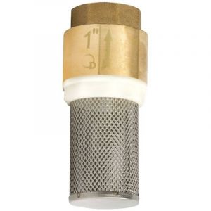 Clapet Anti-Retour Avec Cr&eacute;pine D'Aspiration En Laiton De 1 1/4 Pouce