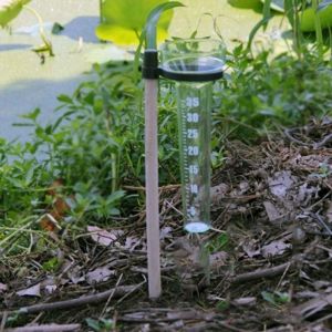 Type Simple Pluviomètre,Outils De Technicien Agricole Record D'observation De Pluie,Tasse À Mesurer en Plastique De Picoseconde avec Le Petit Bâton