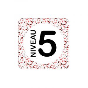 Plaque de porte design sphere niveau 5 .- Terrazo -