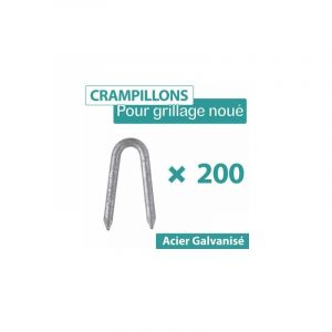 200 Crampillons Acier Galvanisé - Diamètre 2,5mm - Longueur 25mm