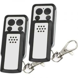 T&eacute;l&eacute;commande - 2 Boutons &agrave; clapet- Compatible avec la plupart des motorisations avidsen, Grise, Autonomie de 2 ans - 114253