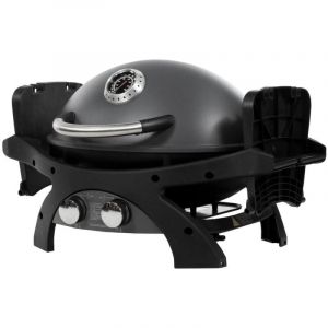 Barbecue à Gaz Surface de cuisson 58 x 42.5 cm 2 Bruleurs Barbecue Nomade Cuve et Couvercle en fonte d'aluminium PIT BOSS