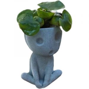 Pot de jardinière à visage lumineux, Pot de fleur en résine, mignon, succulent, Pot de fleurs avec trou de vidange, pour décoration de maison et de