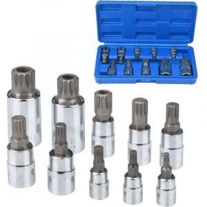 Douille Torx Male 1/2'', 1/4'', 3/8'', Embout Torx 12 Pans M4 M5 M6 M8 M10 M12 M14 M16 M18, Douille Allen avec Boîte