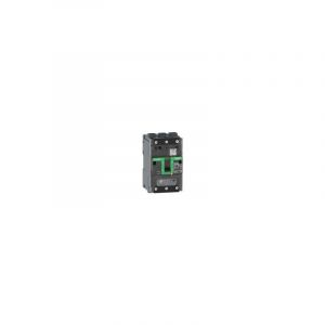 Schneider - ComPacT NSXmE - disjoncteur - tm-d 160A - 3P3D - 16kA - borne EverLink - C12E3TM160L
