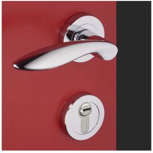 Ensemble de Poign&eacute;es sur Rosaces en Laiton - DCG - Mod&egrave;le Salicorne - Laiton Chrom&eacute; - Cl&eacute; Y