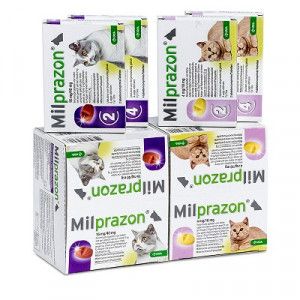 Milprazon Vermifuge pour chat (2-8 kg) 3 x 4 comprim&eacute;s