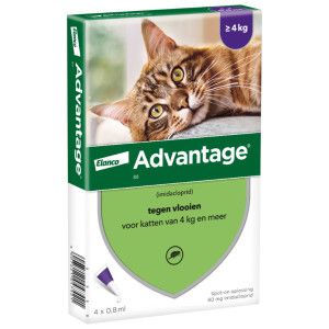 Advantage Nr. 80 pour chat 1 paquet
