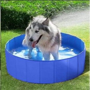 Piscine pour chien 30 cm de haut XL 160 cm