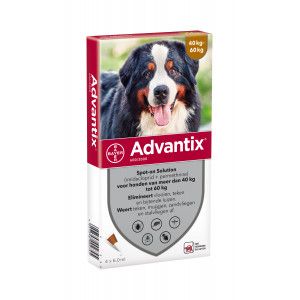 Advantix 600/3000 pour chiens de 40 à 60 kg 6 pipettes