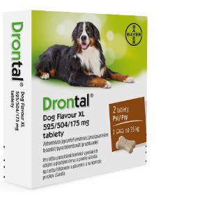 Drontal Large / XL Dog vermifuge pour chien (525/504/175 mg) 2 comprimés