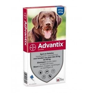 Advantix 400/2000 pour chien 6 pipettes