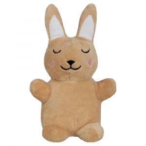 2 jouets Aum&uuml;ller Lapin Baldi-Bunni pour chat