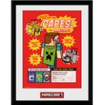 Cadre Minecraft 275871