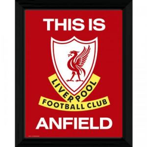 Image Encadrée Liverpool FC T.I.A