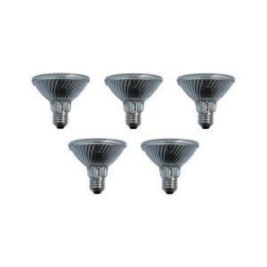 5x Halogène hi-spot 120 230V 75W E27