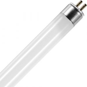 SPL | tube fluorescent | G10q4 Raccord | T5 | 6W | Blacklight | 23cm