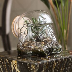 Terrarium Original Stormtrooper de Star Wars