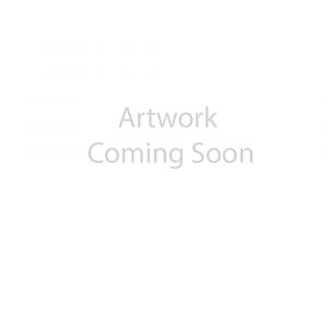 The Walking Dead: Daryl Dixon Season 1-2 Blu-Ray