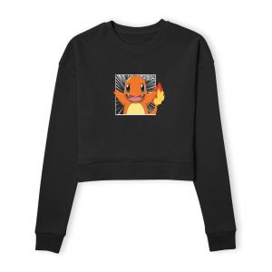 Pok&eacute;mon Pok&eacute;dex Charmander #0004 Women's Cropped Sweatshirt - Black - XS