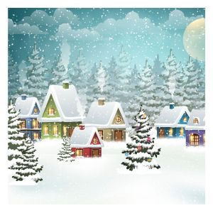 Serviette &laquo; Village sous la neige &raquo; - 20 pc.
