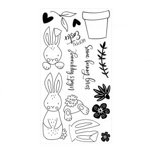 Set de tampons Clear Stamps by Catherine Pooler Sizzix « Bunny Bits & Blooms »