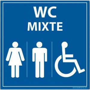 Panneau Wc Mixte Femme Homme Pmr Pvc 250x250mm