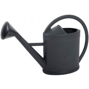 Arrosoir Plastique Gris - 11 L