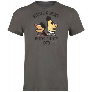 T-Shirt Manches courtes  de Sesame Street - Ernie und Bert - Bros Since 1973 - S à 3XL - pour Homme - gris