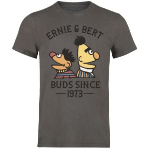 T-Shirt Manches courtes  de Sesame Street - Ernie und Bert - Bros Since 1973 - S à 3XL - pour Homme - gris