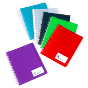 Viquel Porte vues Géode A4 - Polypropylène - 30 pochettes - 60 vues - Assortis
