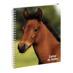 EXACOMPTA Cahier de textes Animaux Cheval 17 x 22 cm - Visuels assortis
