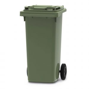 Vepa Bins Conteneur poubelle mobile 2 roues - 120 litres prise frontale - Vert