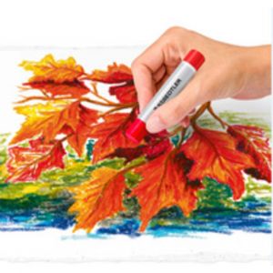 Pastel &agrave; l'huile Design Journey, &eacute;tui carton de 36