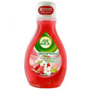Air Wick D&eacute;sodorisant &agrave; m&egrave;che - Fra&icirc;cheur Framboise - 375 ml