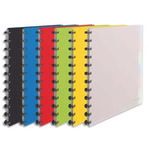 ESSELTE Prot&egrave;ge-documents VIVADA &agrave; pochettes amovibles 50 vues, 25 pochettes Assortis