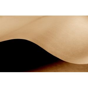RAJA Papier kraft naturel 70 g/m&sup2; en rouleau 50 cm x 100 m - Marron