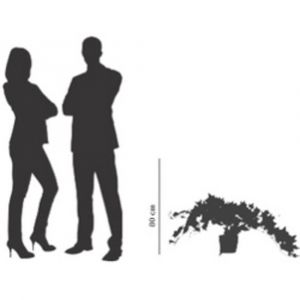 PAPERFLOW Plante artificielle 'lierre', hauteur: 800 mm