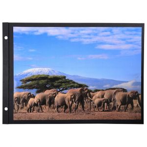 EXACOMPTA Recharge 10 feuillets en carte noire rigide pour album photos &agrave; vis - 30 ,7x21,6 cm - Noir