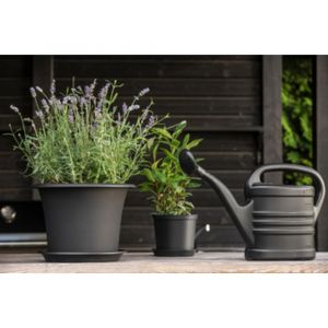 ORTHEX Arrosoir Splash, 10,0 litres, noir