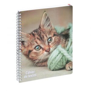 EXACOMPTA Cahier de textes Animaux Chaton 17 x 22 cm - Visuels assortis