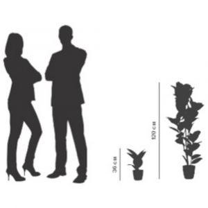 PAPERFLOW Plante artificielle 'caoutchouc', hauteur: 360 mm