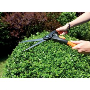 GARTEN PRIMUS Cisaille &agrave; buis, grand, longueur: 435 mm