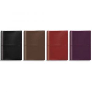 OXFORD Agenda Voyage Janvier &agrave; D&eacute;cembre, grille Like Work SCRIBZEE, format 15 x 21 cm assortis