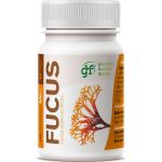 GHF Fucus 500mg 100comp 100comp