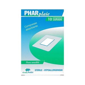 Evolupharm Pans Pharplaie Adh St 8X10Cm 10
