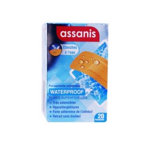 Assanis Waterproof Pansement 20uts